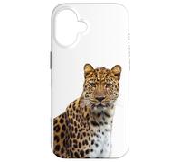 Custodia per iPhone 16 Amur Leopard Gatto in via di estinzione