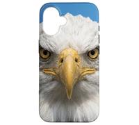 Custodia per iPhone 16 Bald Eagle Close Up Ritratto Sharp Wildlife Face