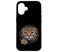 Custodia per iPhone 16 Bel gatto soriano marrone che sbircia attraverso
