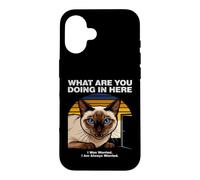 Custodia per iPhone 16 Cosa stai facendo qui Gatto Siamese Ansioso