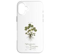 Custodia per iPhone 16 Plus Artistic St Patricks Day Quadrifoglio Botanico Vintage