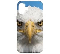 Custodia per iPhone 16 Plus Bald Eagle Close Up Ritratto Sharp Wildlife Face