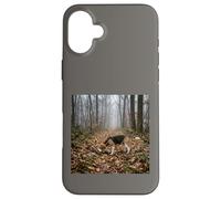 Custodia per iPhone 16 Plus Beagle Tracking Forest Trail Nebbia Scena del bosco
