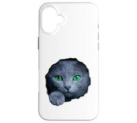 Custodia per iPhone 16 Plus Colpisce il gatto blu russo con gli occhi verdi che sbirciano attraverso