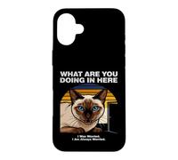 Custodia per iPhone 16 Plus Cosa stai facendo qui Gatto Siamese Ansioso