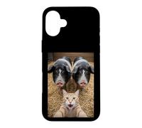 Custodia per iPhone 16 Plus Funny Cat Selfie with Pigs Design - Cute Animal Pig Lovers