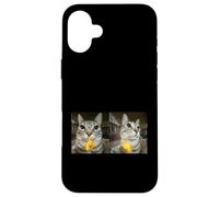Custodia per iPhone 16 Plus Meme di Silly Staring Cat, divertente disegno felino