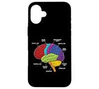 Custodia per iPhone 16 Plus Neuroscienze di anatomia del cervello umano Labeled Lobi Corteccia