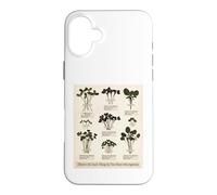 Custodia per iPhone 16 Plus Non esiste una cosa come troppi germogli di microgreens
