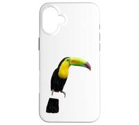 Custodia per iPhone 16 Plus Ramphastos Sulfuratus Keel Billed Tucano