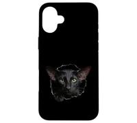 Custodia per iPhone 16 Plus Striking Black Oriental Shorthair Cat che sbircia attraverso