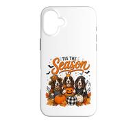 Custodia per iPhone 16 Plus Tis The Season Halloween Border Collie Pumpkin Costume