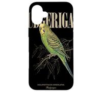 Custodia per iPhone 16 Plus Vintage Budgerigar Bird Watching Arte Natura Amore Uccelli