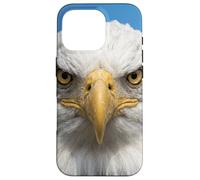 Custodia per iPhone 16 Pro Bald Eagle Close Up Ritratto Sharp Wildlife Face