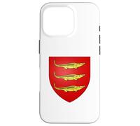 Custodia per iPhone 16 Pro Bandiera di Bamako - Mali