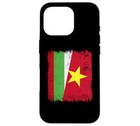 Custodia per iPhone 16 Pro Bulgaria Vietnam Half Flag Bulgaria Vietnamita Storia
