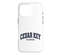 Custodia per iPhone 16 Pro Cedar Key Florida Vintage