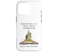 Custodia per iPhone 16 Pro Chi Va Piano Va Sano Tartaruga Motivazione