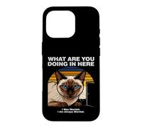 Custodia per iPhone 16 Pro Cosa stai facendo qui Gatto Siamese Ansioso