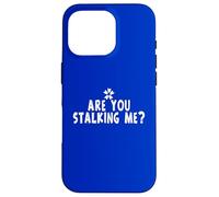 Custodia per iPhone 16 Pro Funny Stalker Joke Are You Stalking Me Frase