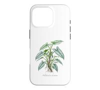 Custodia per iPhone 16 Pro Illustrazione della pianta della spada d'argento del filodendro