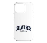 Custodia per iPhone 16 Pro Indian Cr lorida Vintage Athletic Sports Design