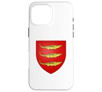 Custodia per iPhone 16 Pro Max Bandiera di Bamako - Mali