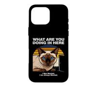 Custodia per iPhone 16 Pro Max Cosa stai facendo qui Gatto Siamese Ansioso