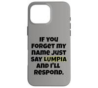 Custodia per iPhone 16 Pro Max Dimentica il mio nome, basta dire Lumpia Fun Design Uomini Donne Bambini