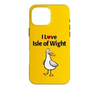 Custodia per iPhone 16 Pro Max Isola di Wight