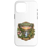Custodia per iPhone 16 Pro Max Letchworth State Park New York Cascate novità souvenir