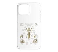 Custodia per iPhone 16 Pro Max Pregare Mantide Anatomia Vintage Field Guide Art