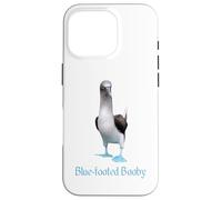 Custodia per iPhone 16 Pro Ornitologia della razza di uccelli Booby dai piedi blu