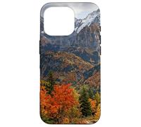 Custodia per iPhone 16 Pro Paesaggio panoramico delle cime delle montagne della valle d'autunno al
