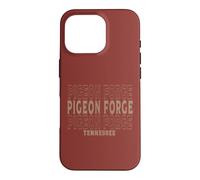 Custodia per iPhone 16 Pro Pigeon Forge Tennessee vintage