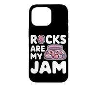Custodia per iPhone 16 Pro Roccia Tumbling Hobbyist pietre lucidate e arte lapidaria