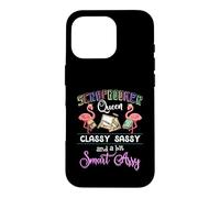 Custodia per iPhone 16 Pro Scrapbooking - Scrapbooker Queen Classy Sassy Flamingo Gift