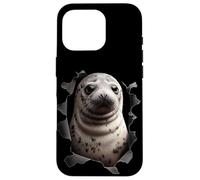 Custodia per iPhone 16 Pro Sigillo bambino guardando fuori dal panno strappato Divertente amante degli animali