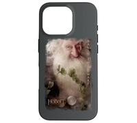 Custodia per iPhone 16 Pro The Hobbit Balin