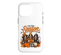 Custodia per iPhone 16 Pro Tis The Season Halloween Border Collie Pumpkin Costume