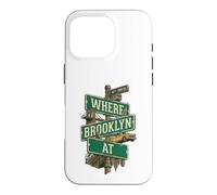 Custodia per iPhone 16 Pro Titolo: Dove Brooklyn At Street Signs NYC City Pride