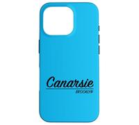 Custodia per iPhone 16 Pro Vecchia scuola New York Retro Canarsie Brooklyn Quartiere