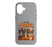 Custodia per iPhone 16 Tis The Season Halloween Border Collie Pumpkin Costume