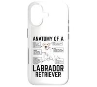 Custodia per iPhone 17 Anatomy Of A Labrador Retriever