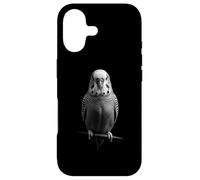 Custodia per iPhone 17 Budgie parrocchetti birdwatcher pet bird lover