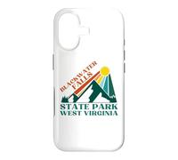 Custodia per iPhone 17 Cascate Blackwater