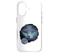 Custodia per iPhone 17 Colpisce il gatto blu russo con gli occhi verdi che sbirciano attraverso