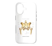 Custodia per iPhone 17 Divertente Anatomia Hip Anatomica Umana Scienza Educazione