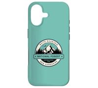 Custodia per iPhone 17 Foresta nazionale di White Mountain New Hampshire
