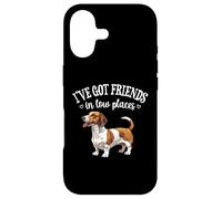 Custodia per iPhone 17 Funny Friends In Low Places Brown Piebald Dachshund Lover
